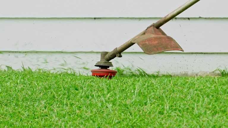 Best Organic Lawn Care Solutions  in Ames, IA
